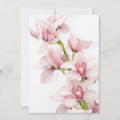 Roze cyberorchidee eerste communiqué kaart (Achterkant)