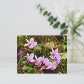 Roze Cyclamen Flowers Briefkaart (Staand voorkant)
