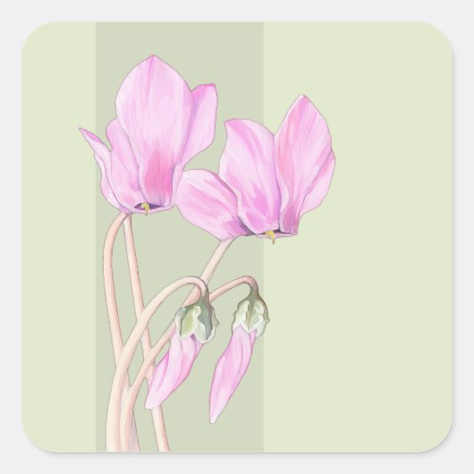Roze Cyclamen groen Vierkante Sticker (Voorkant)