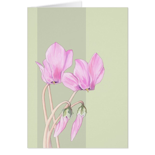 Roze Cyclamens groene kaart (Voorkant)