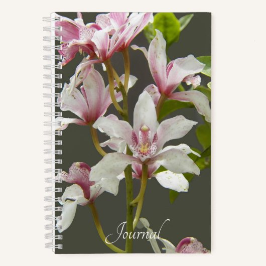 Roze Cymbidium Insigne Orchids Floral Notitieboek (Voorkant)