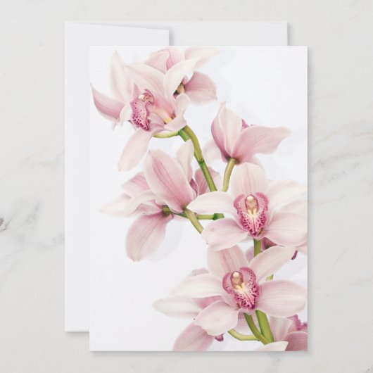 Roze Cymbidium Orchid Bat Mitzvah Uitnodiging (Achterkant)