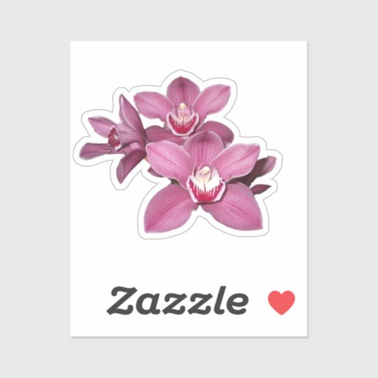 Roze Cymbidium Orchid Flowers Sticker (Vel)