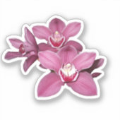 Roze Cymbidium Orchid Flowers Sticker (Voorkant)