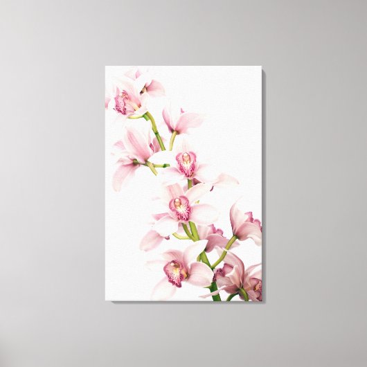 Roze Cymbidium Orchidee bloem verpakt Canvas Print (Voorkant)