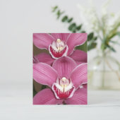 Roze Cymbidium Orchids Briefkaart (Staand voorkant)