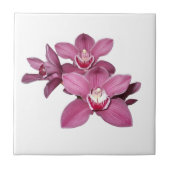 Roze Cymbidium Orchids Tile Tegeltje (Voorkant)