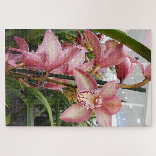Roze Cymbidiumorchideeën Legpuzzel (Horizontaal)