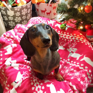 Roze Dachshund Fair Isle Kerstdeken Fleece Deken
