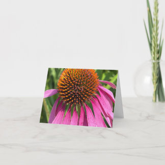 Roze Dag - Dank u Kaarten