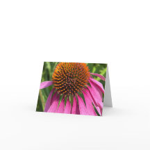 Roze Dag - Dank u Kaarten