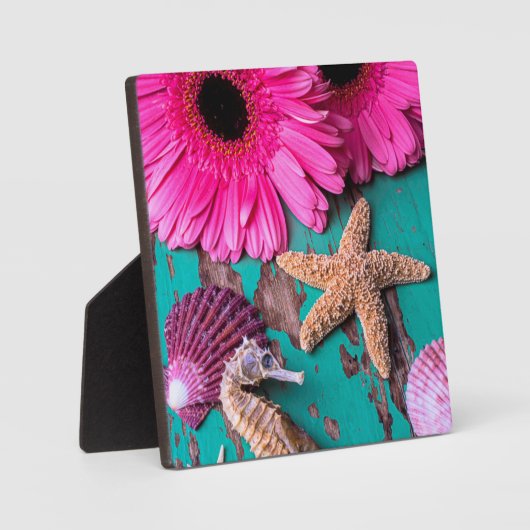 Roze dagen en zeepaardjes met zeefvis fotoplaat (Voorkant)