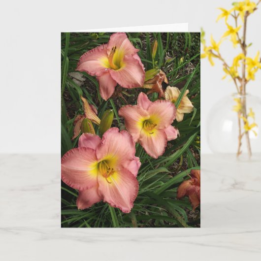 Roze dagvliegen - zuster Birthday Kaart (Gele Bloem)