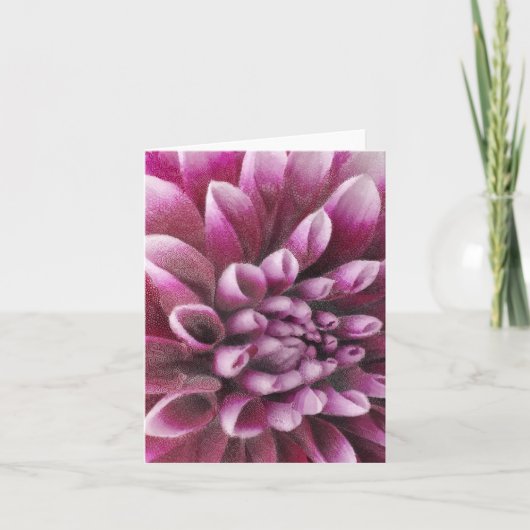 Roze Dahlia (Voorkant)