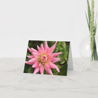 Roze Dahlia 4x6 Note Card Kaart