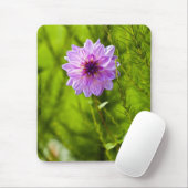 Roze Dahlia, Aquarel Effect Muismat (Met muis)