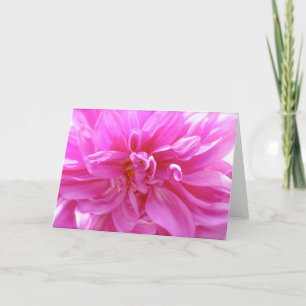 Roze Dahlia Blank Floral Card Kaart