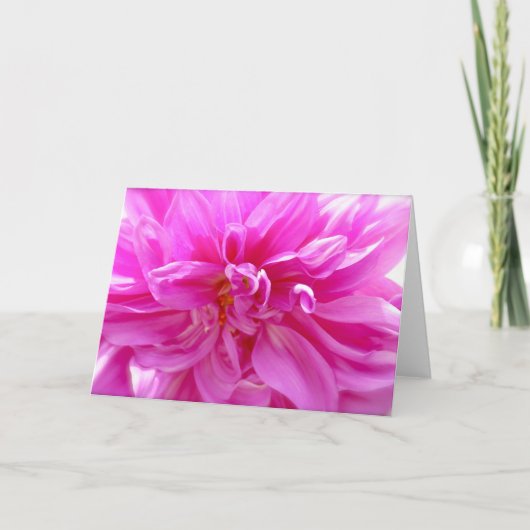 Roze Dahlia Blank Floral Card Kaart (Voorkant)