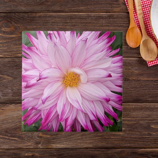 Roze Dahlia Bloem Bloemstuk Tegeltje