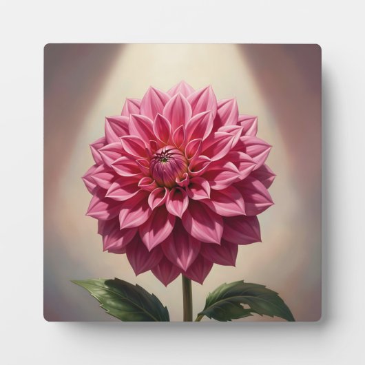 Roze Dahlia Bloem Botanisch Fotoplaat (Voorkant)