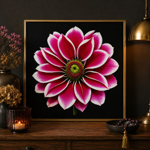 Roze Dahlia Bloem Fine Art Print Foto Afdruk