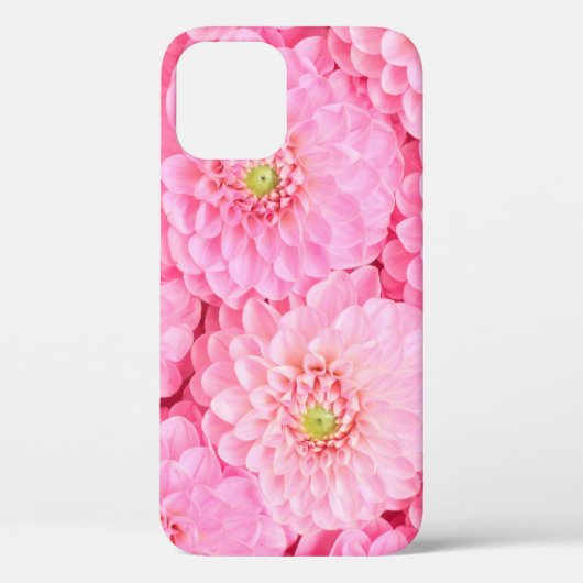 Roze dahlia bloemen achtergrond. Bovenste uitzicht Case-Mate iPhone Case (Achterkant)