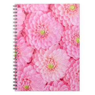 Roze dahlia bloemen achtergrond. Bovenste uitzicht Notitieboek