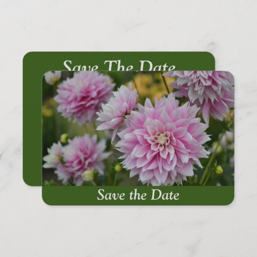 Roze Dahlia Bloemen bij RHS Garden Verrassing Verj Save The Date (Voorkant / Achterkant)