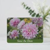 Roze Dahlia Bloemen bij RHS Garden Verrassing Verj Save The Date (Staand voorkant)