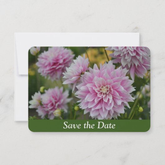 Roze Dahlia Bloemen bij RHS Garden Verrassing Verj Save The Date (Voorkant)