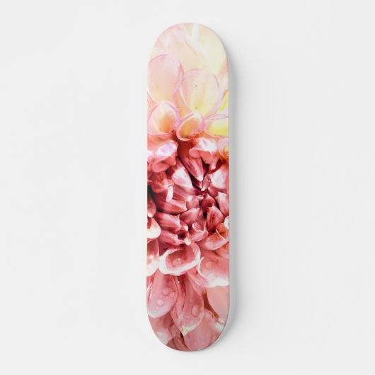 Roze dahlia-bloemkop dicht bij elkaar persoonlijk skateboard (Voorkant)