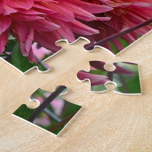 Roze dahlia-bloemtuin legpuzzel (Zijkant)