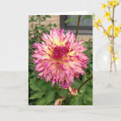 Roze dahlia briefkaart (Gele Bloem)
