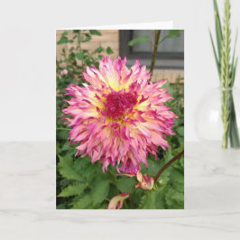 Roze dahlia briefkaart