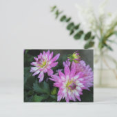 Roze Dahlia briefkaart (Staand voorkant)