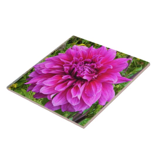 Roze Dahlia Ceramic Tile Tegeltje (Zijkant)