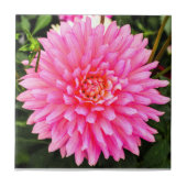 Roze Dahlia Ceramic Tile Tegeltje (Voorkant)