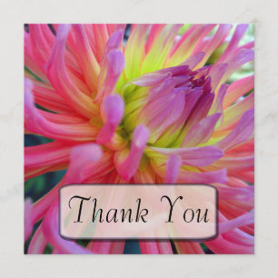 Roze Dahlia Dank je kaarten