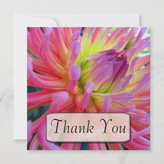 Roze Dahlia Dank je kaarten (Voorkant)