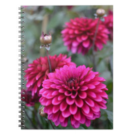 Roze Dahlia Floral Foto Notitieboek