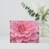 Roze Dahlia Flower Briefkaart (Staand voorkant)