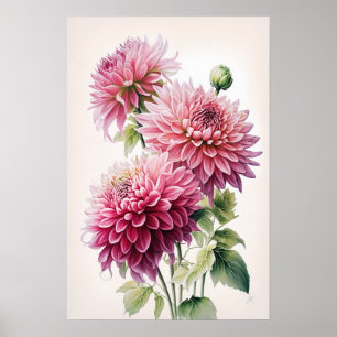 Roze Dahlia Flowers Art Print Poster