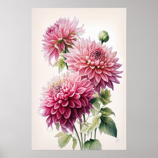 Roze Dahlia Flowers Art Print Poster (Voorkant)