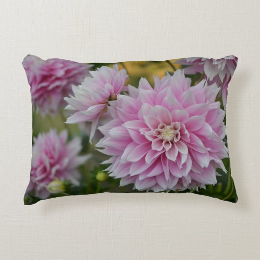 Roze Dahlia Flowers op RHS Garden Wisley Accent Kussen (Voorkant)
