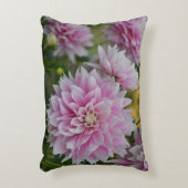 Roze Dahlia Flowers op RHS Garden Wisley Accent Kussen (Voorkant(Verticaal))