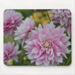 Roze Dahlia Flowers op RHS Garden Wisley Muismat
