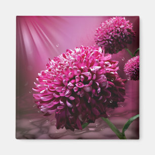 Roze Dahlia Flowers Water laat zonlicht vallen Magneet