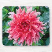 Roze Dahlia fotografie, Canadese bloem Muismat (Voorkant)
