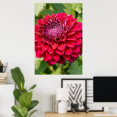 Roze Dahlia fotografie, Canadese bloem Poster (Thuiskantoor)