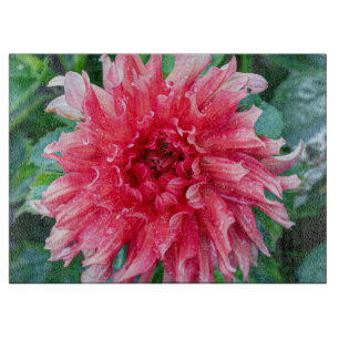 Roze Dahlia fotografie, Canadese bloem Snijplank